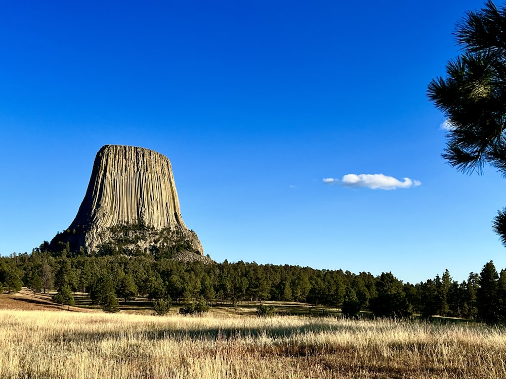 a tall mountain towering over a lush green forest