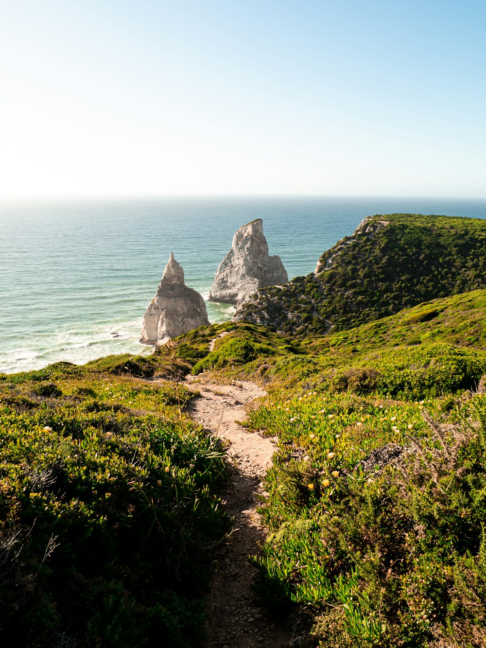 a path leading to the ocean on a sunny day