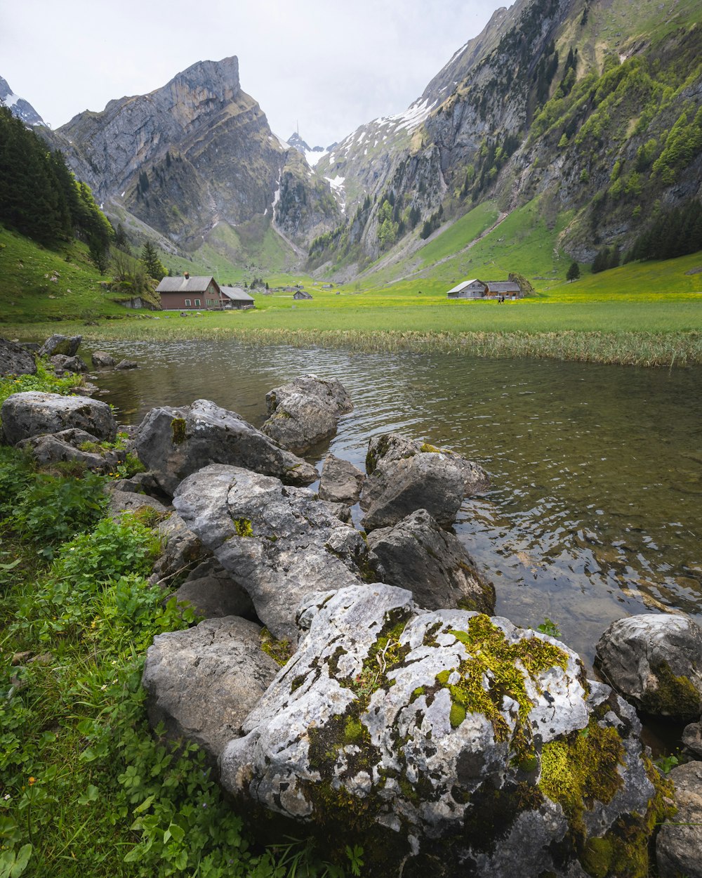 a mountain lake surrounded by green grass and rocks