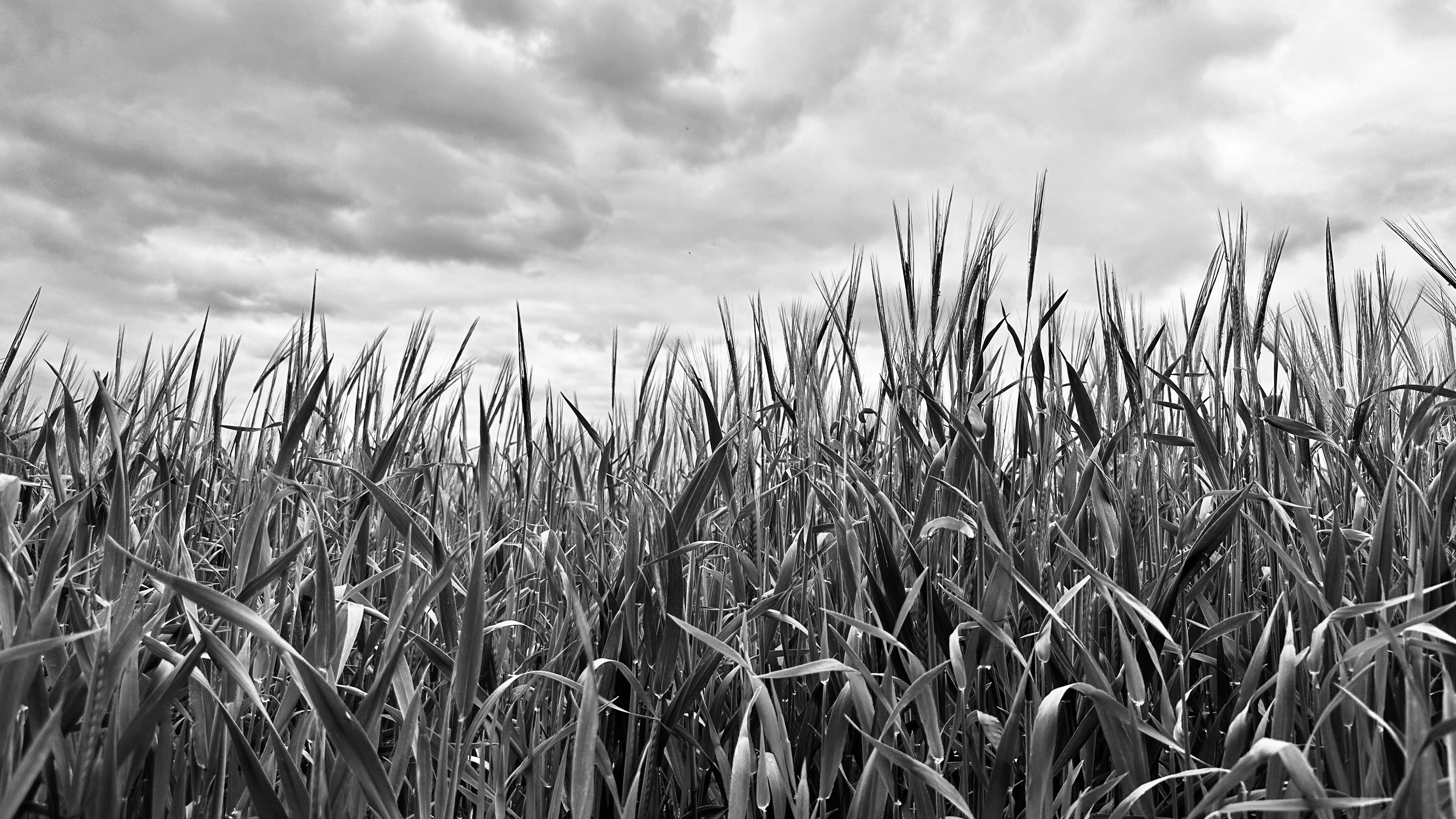 Photo by mariatejada