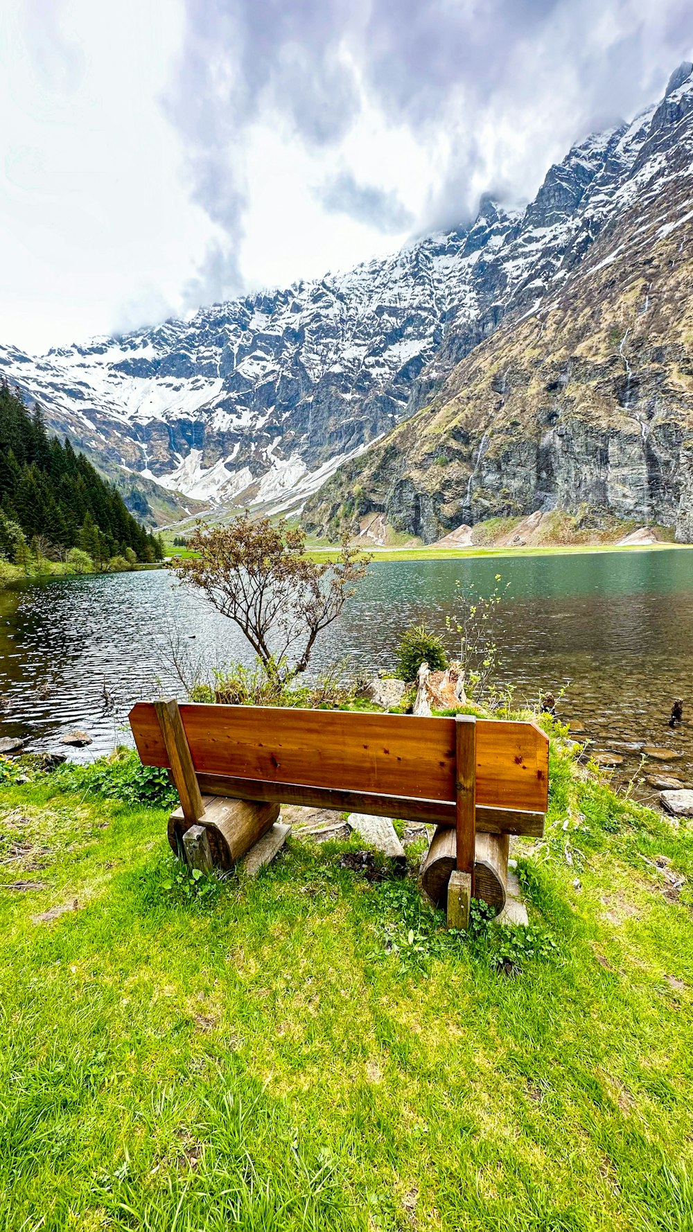 una panchina di legno seduta in cima a un campo verde lussureggiante