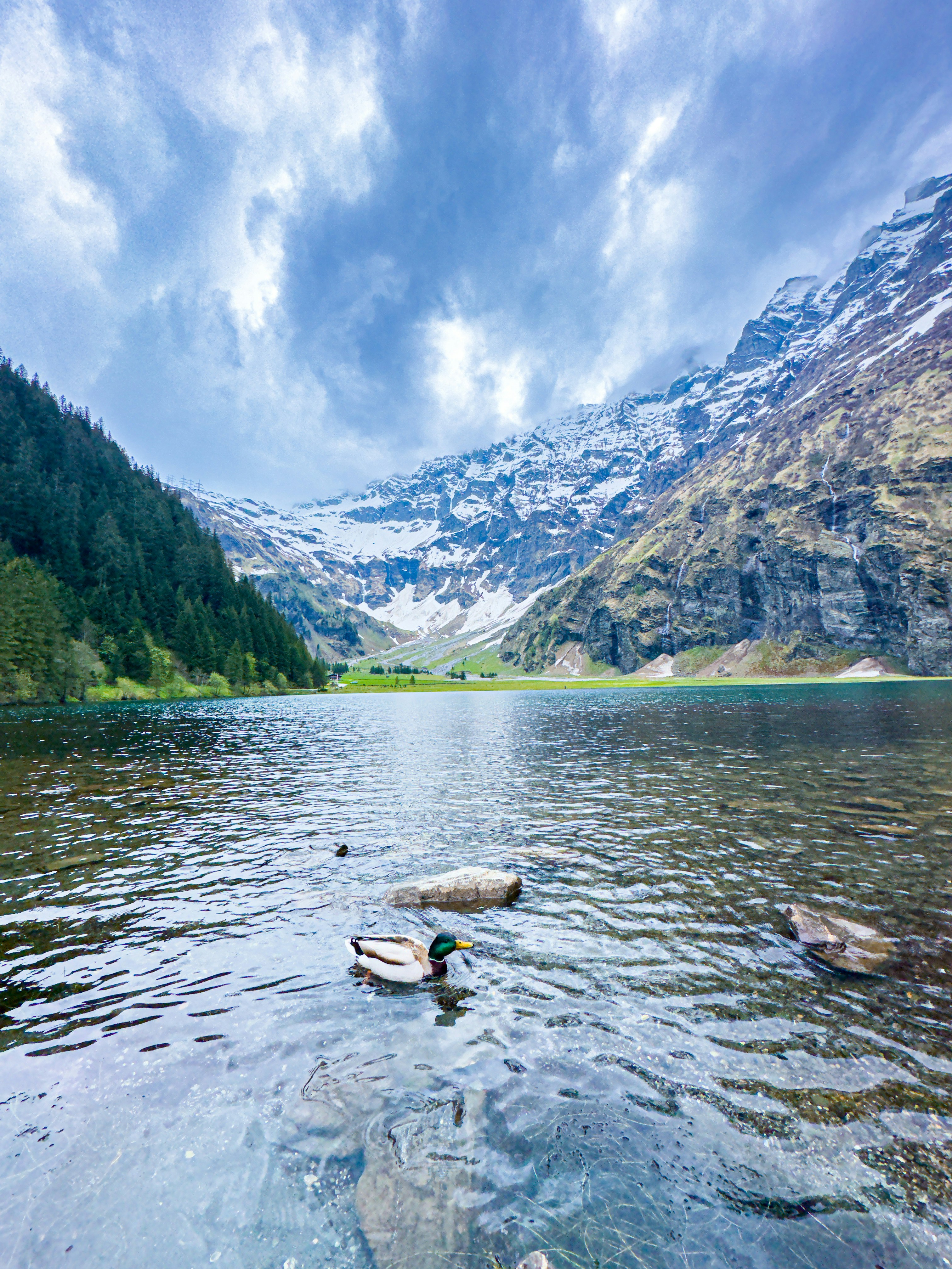 Photo by majidaljishi