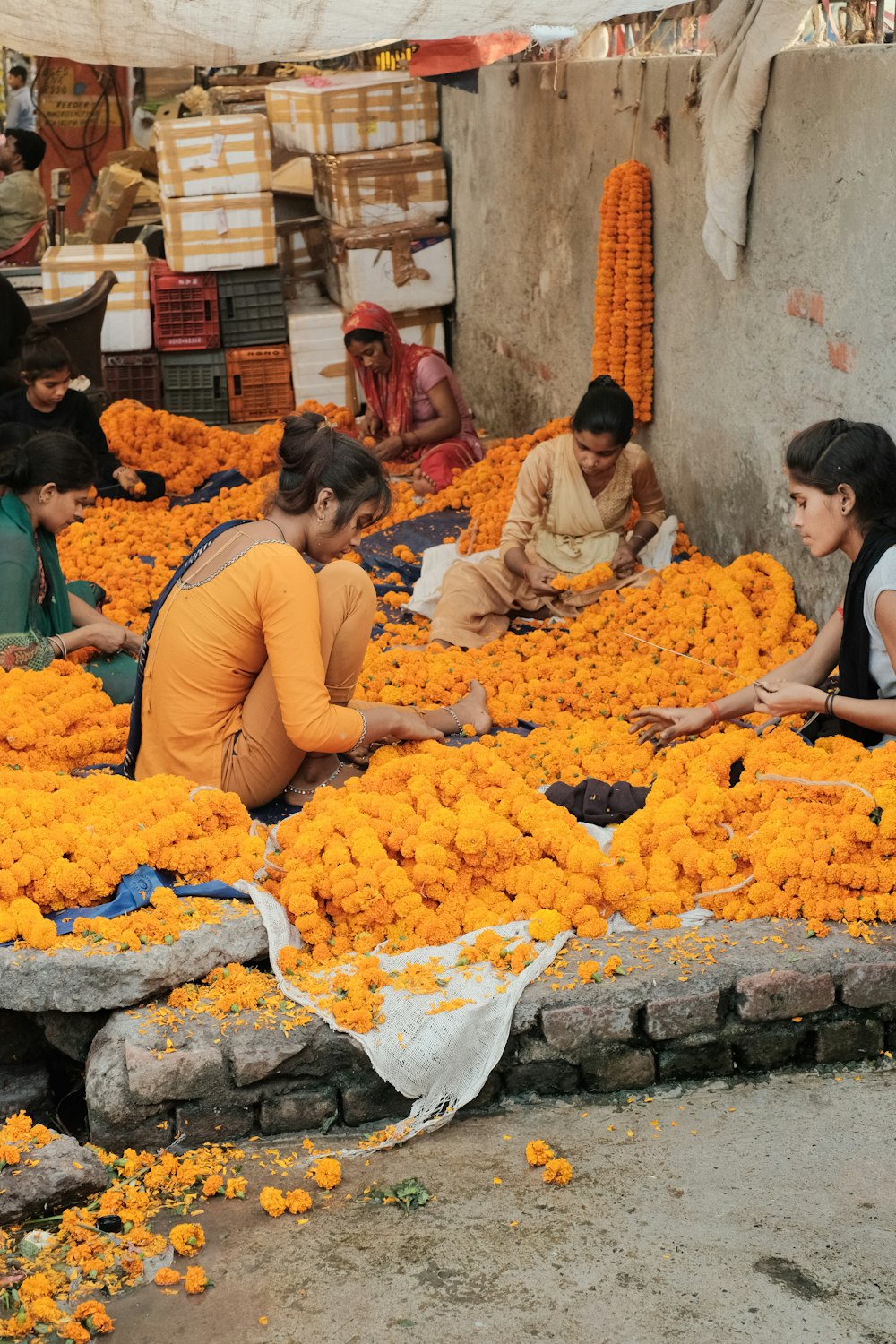 a group of people standing around a bunch of orange flowers