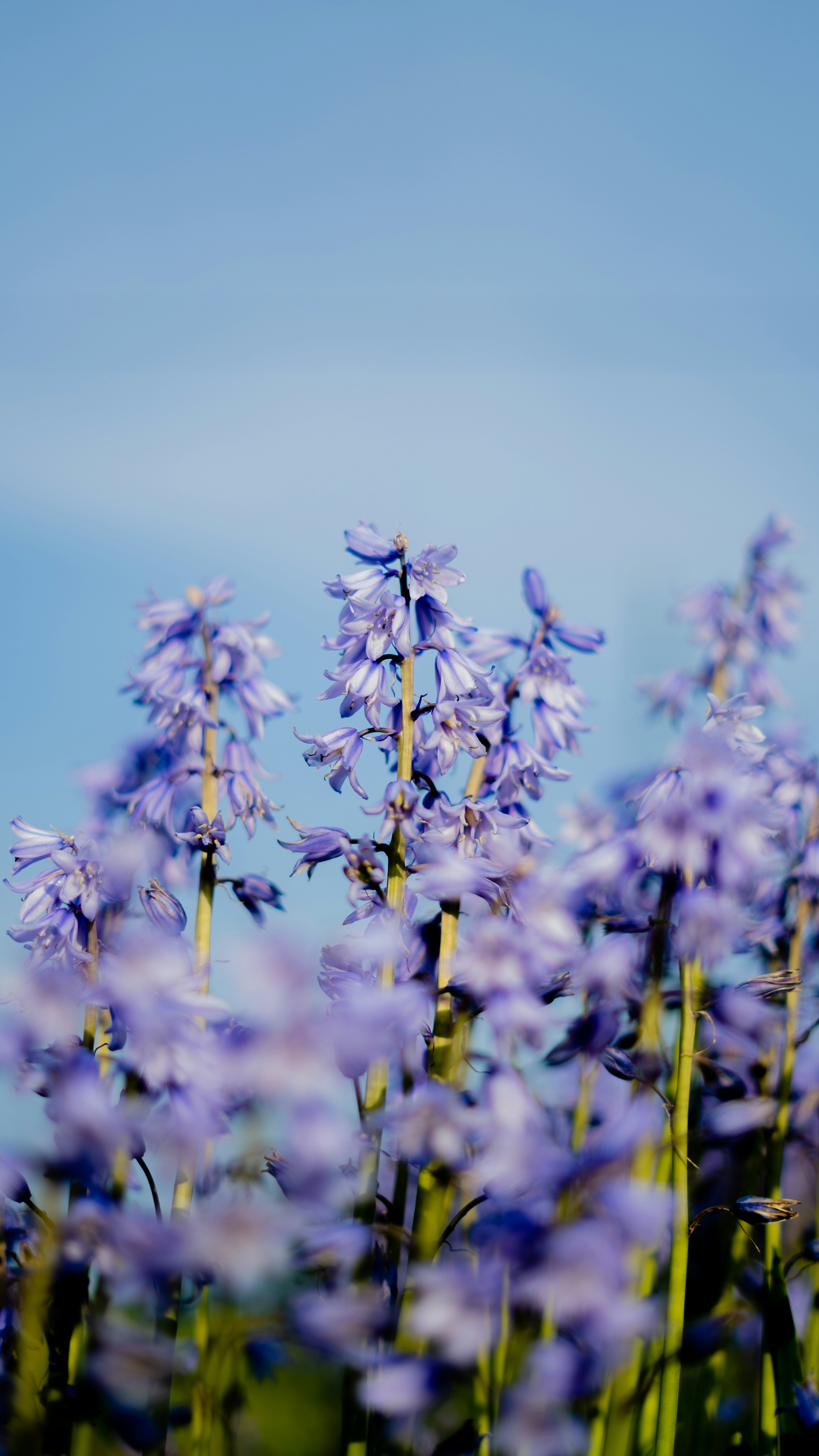 Photo by miyuki_oikawa