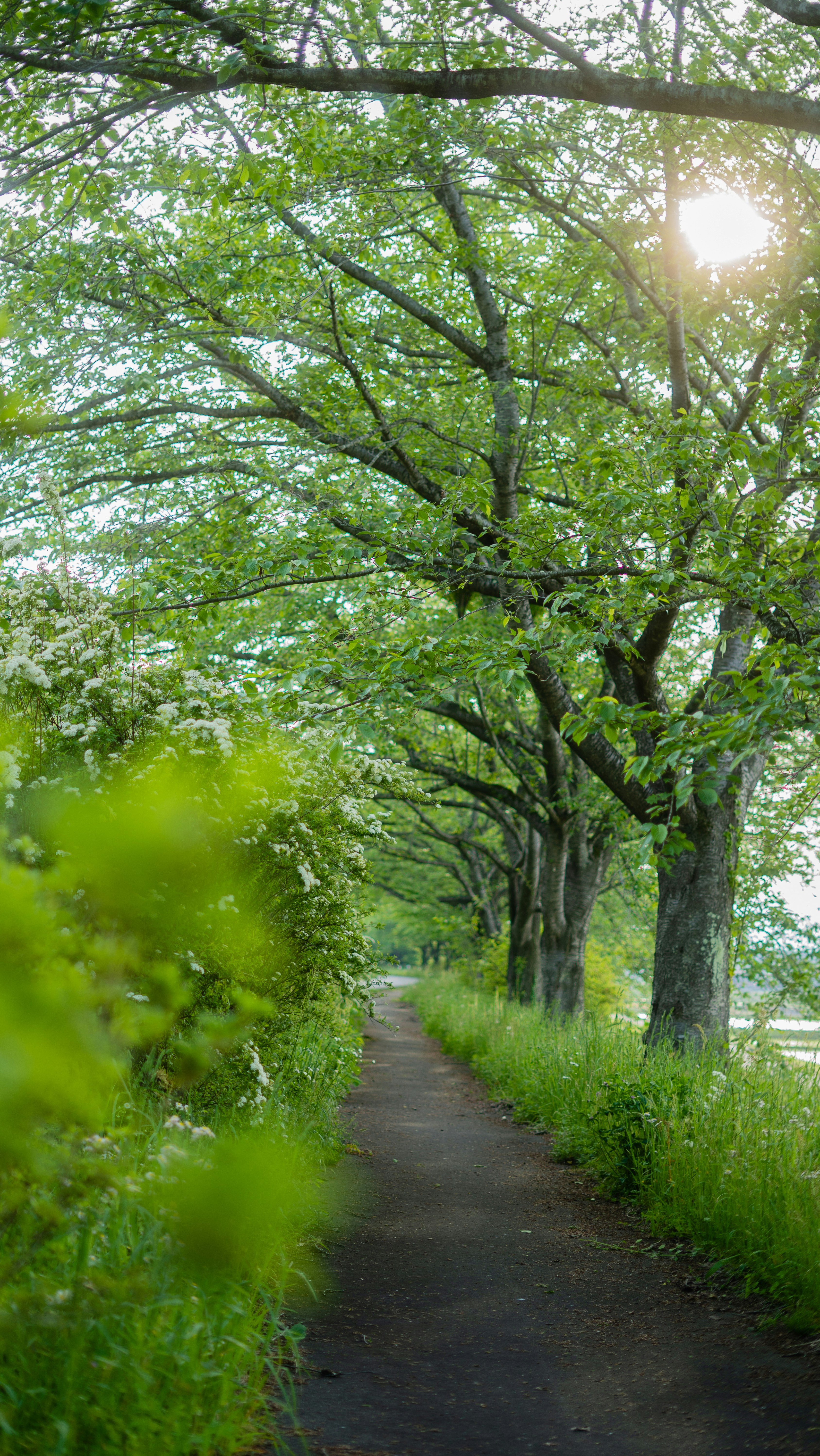 Photo by miyuki_oikawa