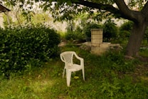 A tranquil garden scene with a white plastic chair placed on lush green grass under a large tree. Dense green shrubs and foliage surround the area, creating a secluded and peaceful atmosphere. A small stone structure is visible in the background, possibly a garden feature or fireplace.