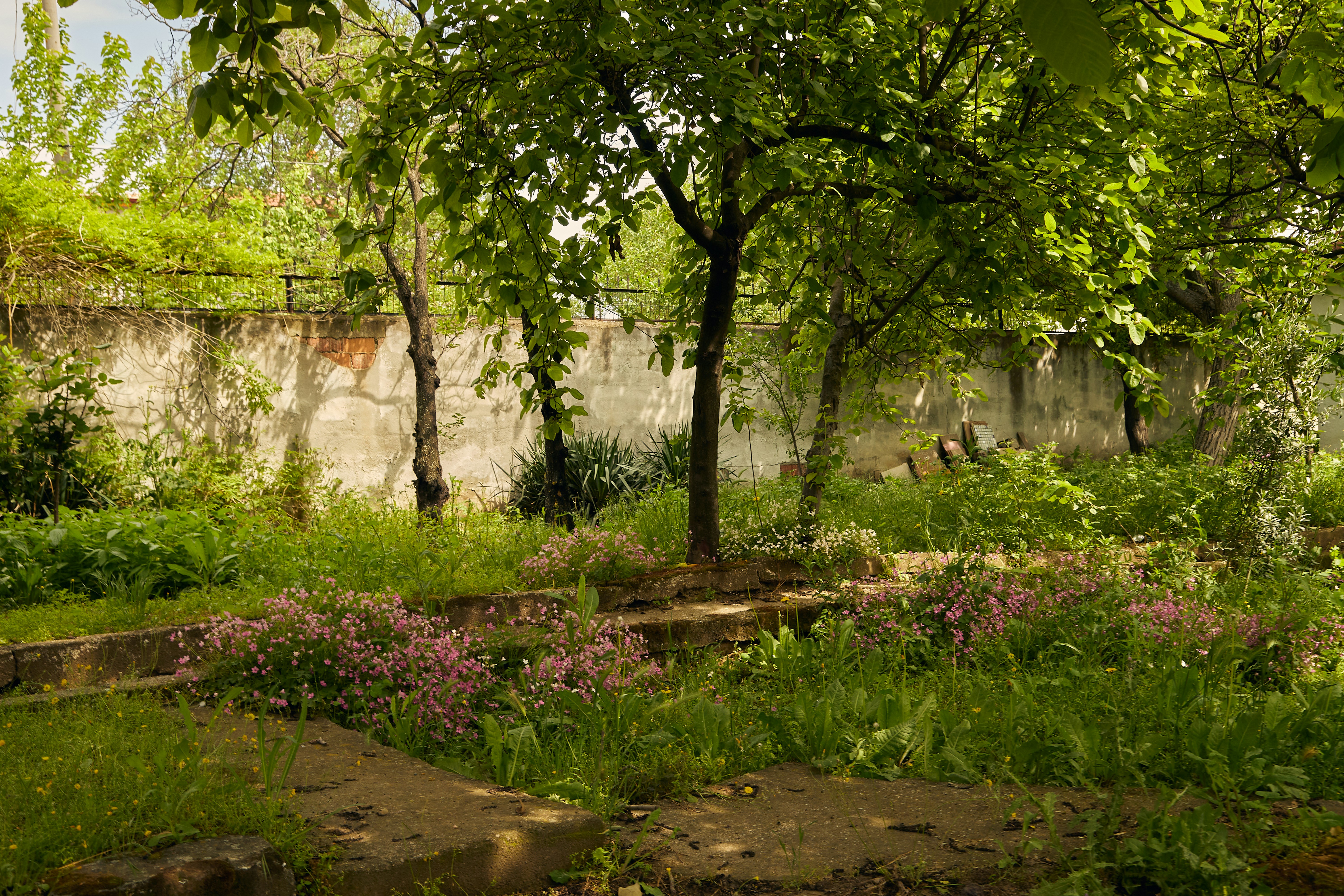 Image by meriç tuna via Unsplash