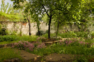 A cozy corner of the Guwahati garden with vibrant green plants and sunlight filtering through leaves.