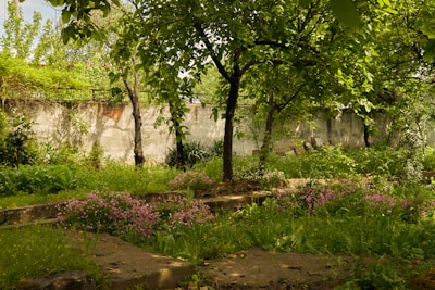 A vibrant concrete garden feature surrounded by lush greenery.