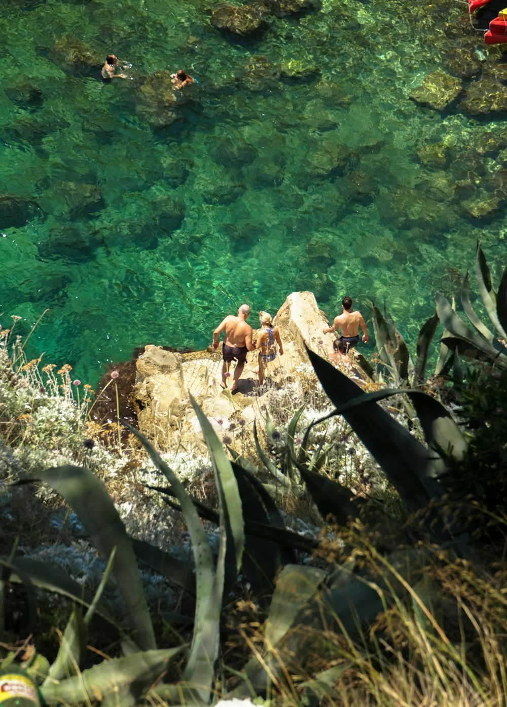 a group of people swimming in a body of water