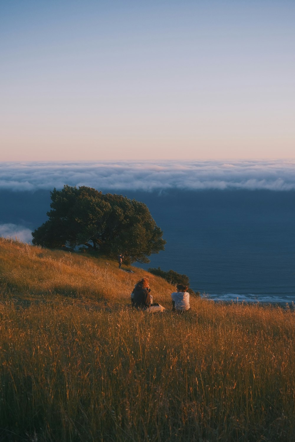 a couple of people sitting on top of a lush green hillside