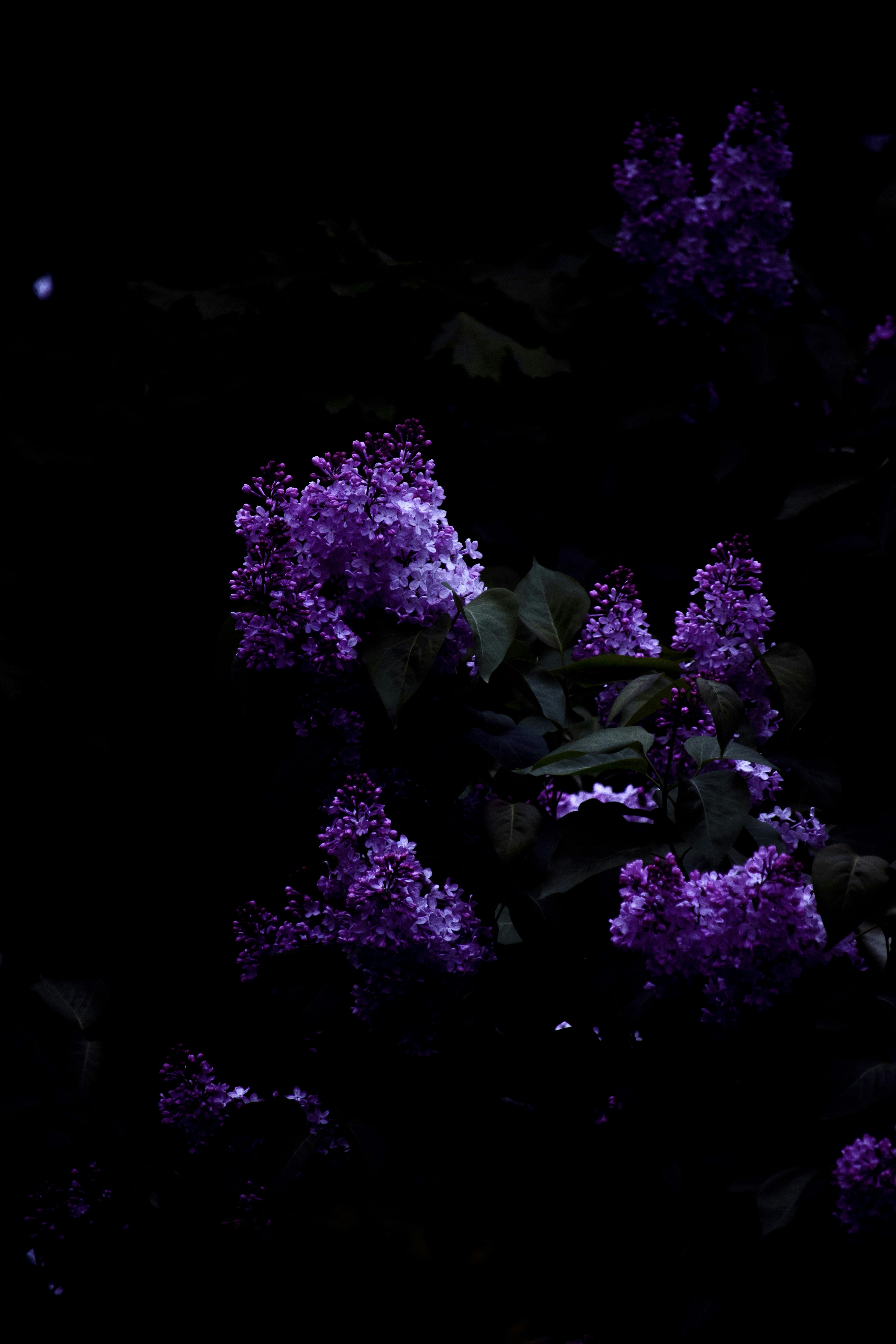 Photo by sinabahar76