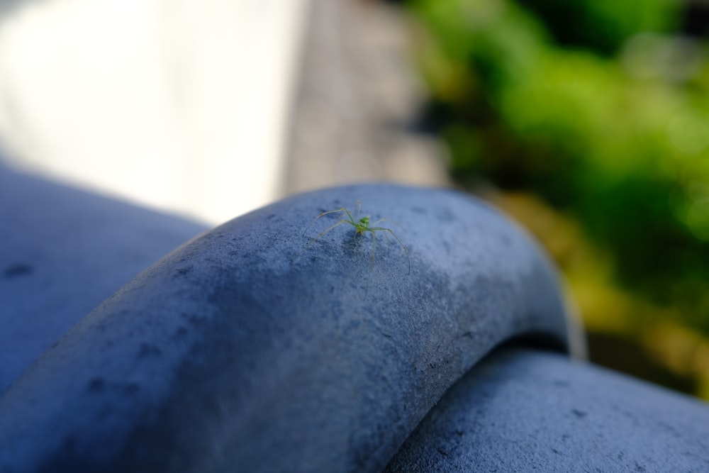 a close up of a metal pipe with a plant growing out of it