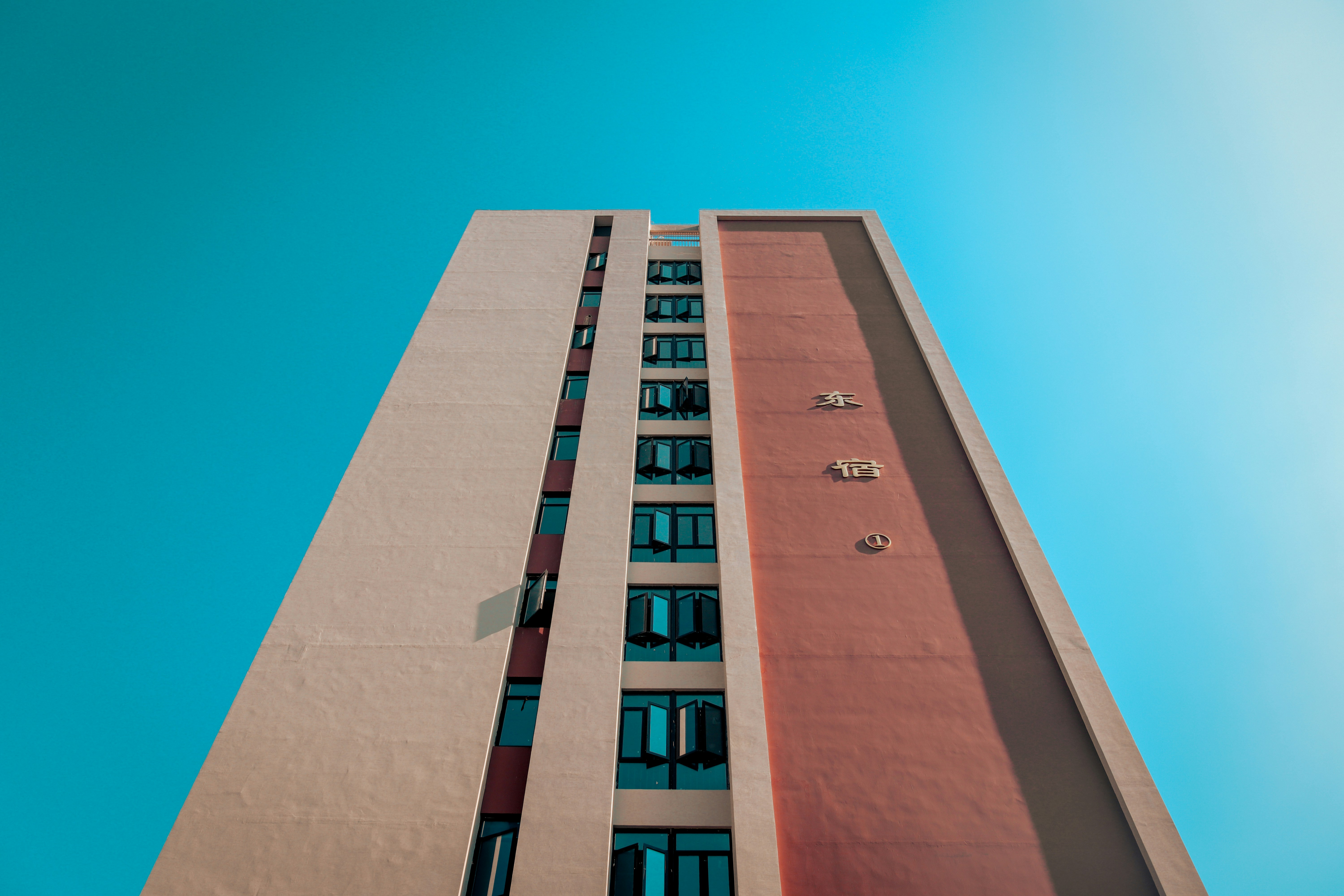 Photo by warneryacey