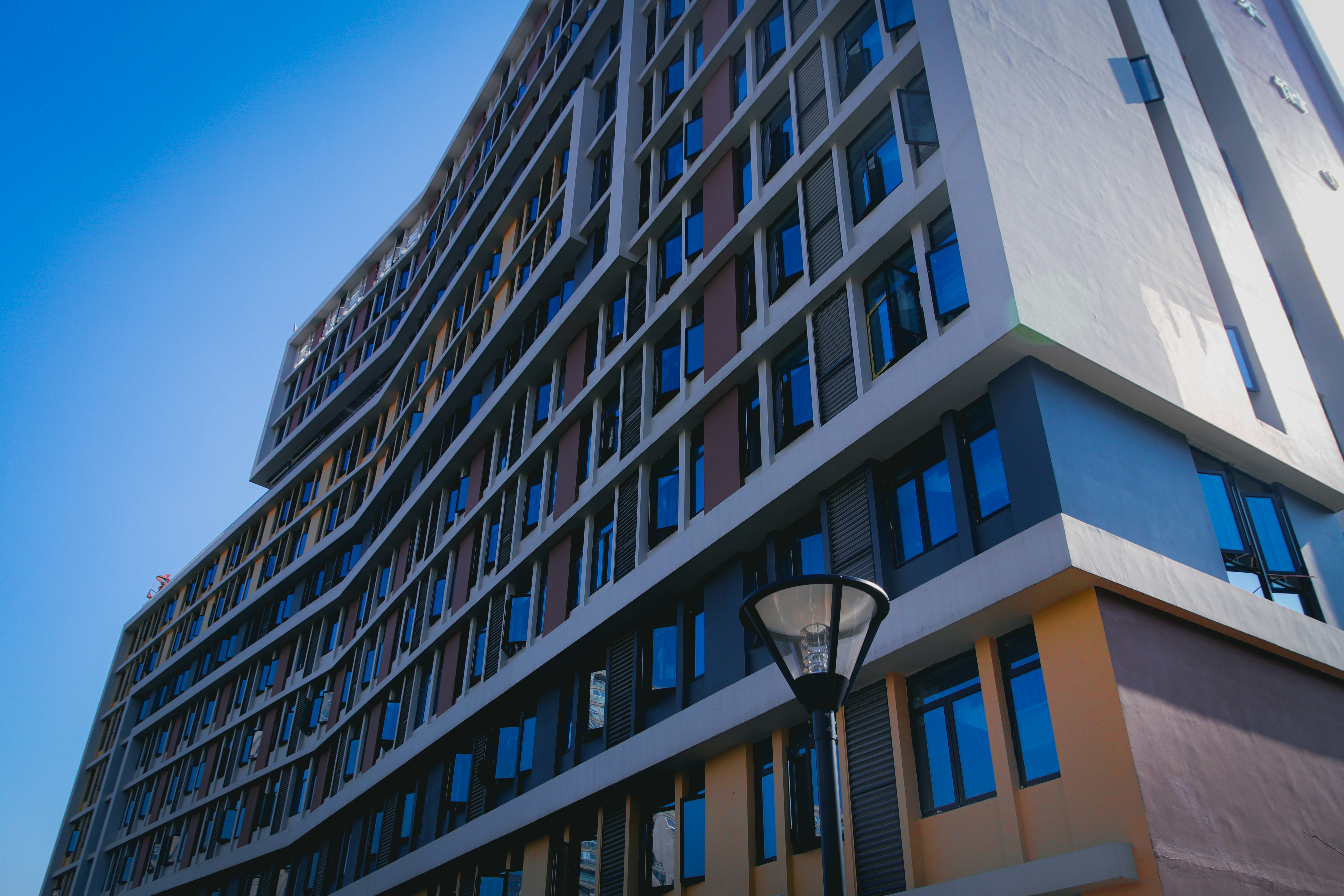 Photo by warneryacey