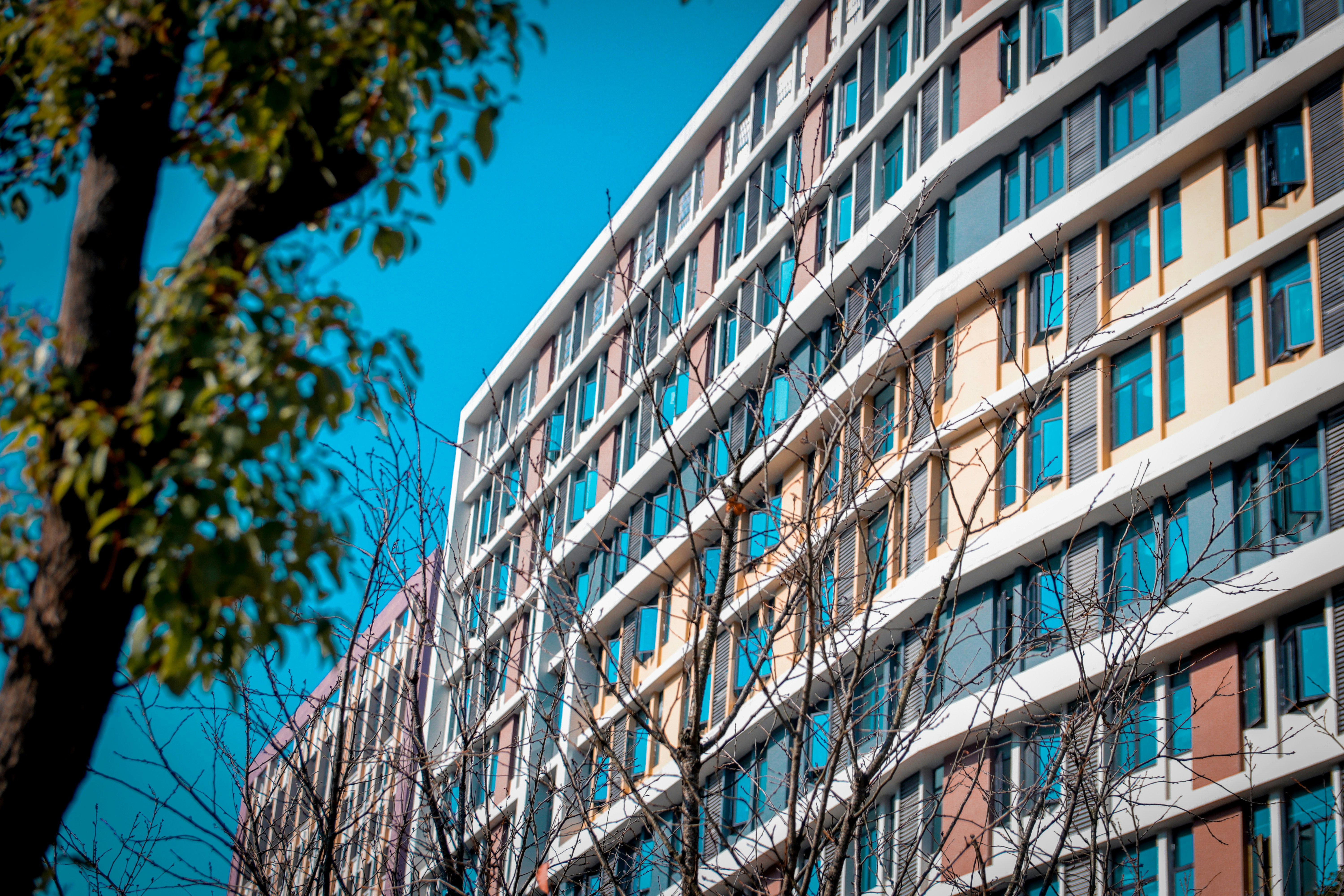 Photo by warneryacey