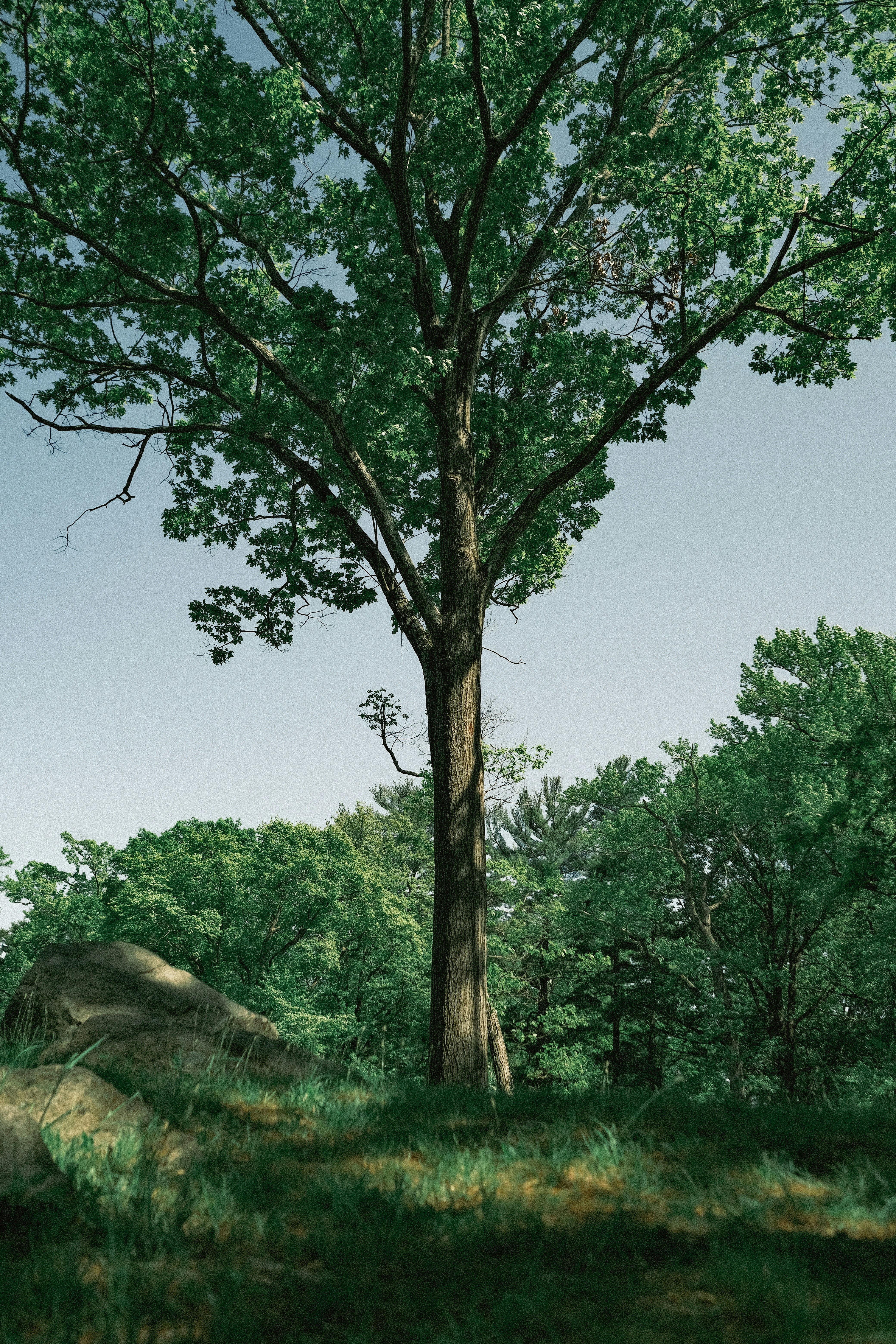 Photo by davidgaviphoto