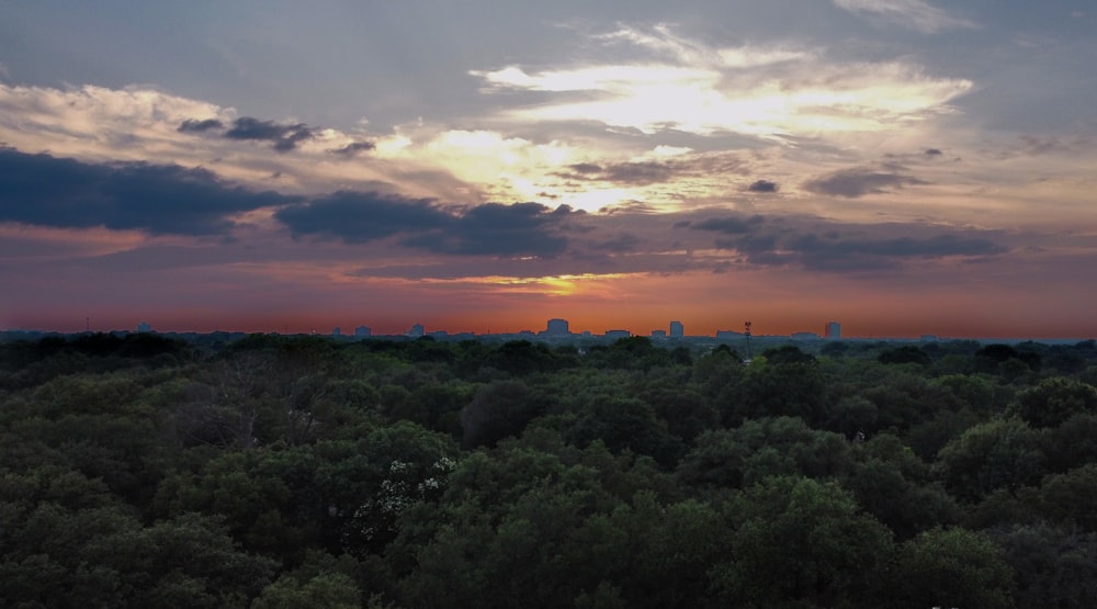 the sun is setting over a forest of trees