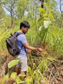 Sébastien Hermann explaining the properties of a wild plant to attentive learners outdoors.