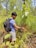 A person with a black backpack is standing in a dense forest area, inspecting a plant with small yellow fruits. The scene is lush with green foliage and tall grass, providing a sense of being deep in nature. The person wears a blue t-shirt and gray shorts.