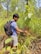 A person with a black backpack is standing in a dense forest area, inspecting a plant with small yellow fruits. The scene is lush with green foliage and tall grass, providing a sense of being deep in nature. The person wears a blue t-shirt and gray shorts.