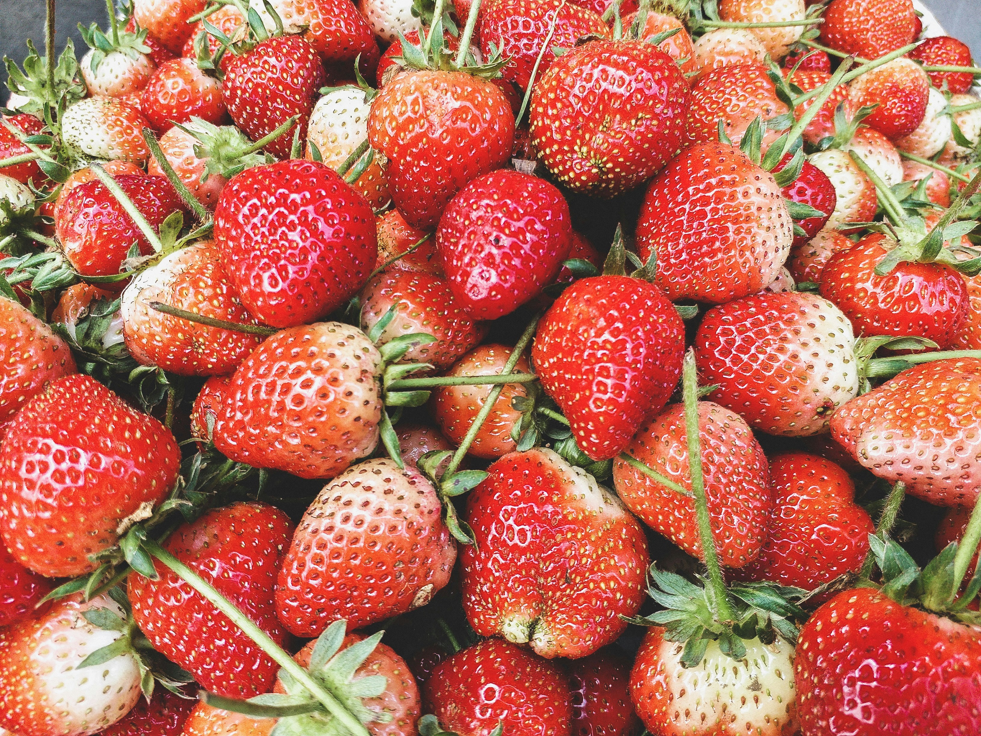 Photo by bysaldesign_