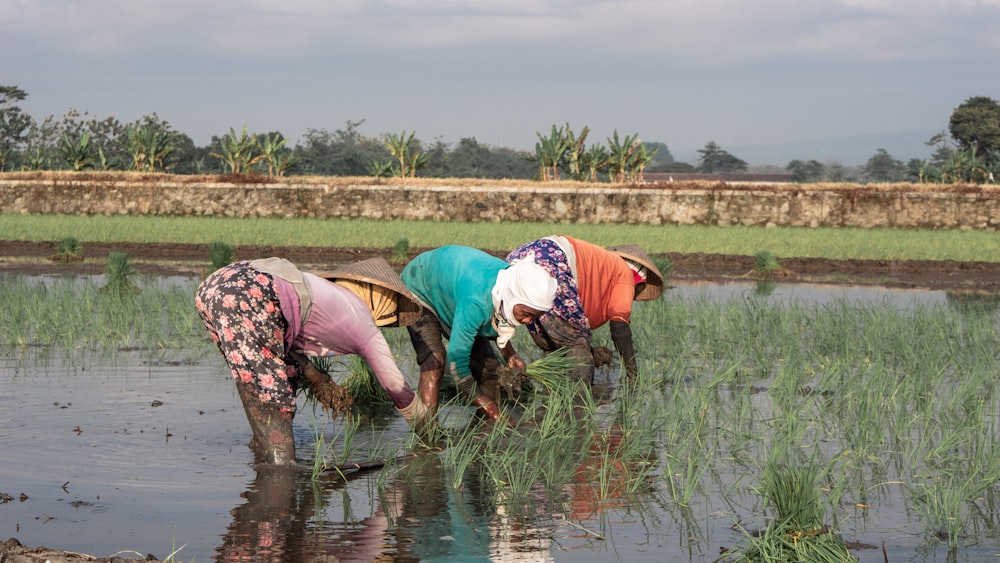 a couple of women standing in a field next to a body of water