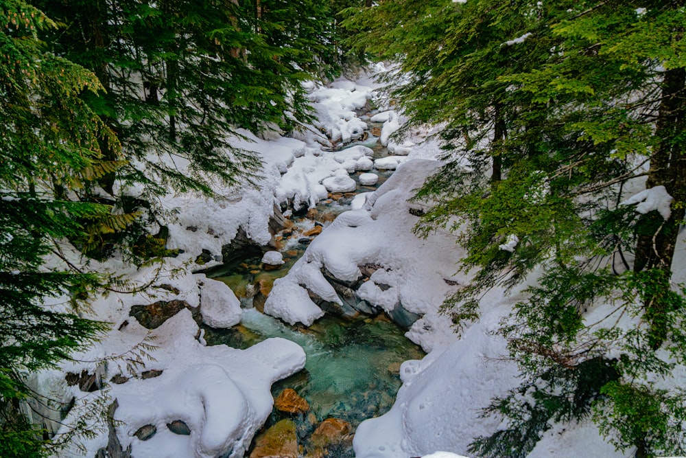 a stream running through a snow covered forest