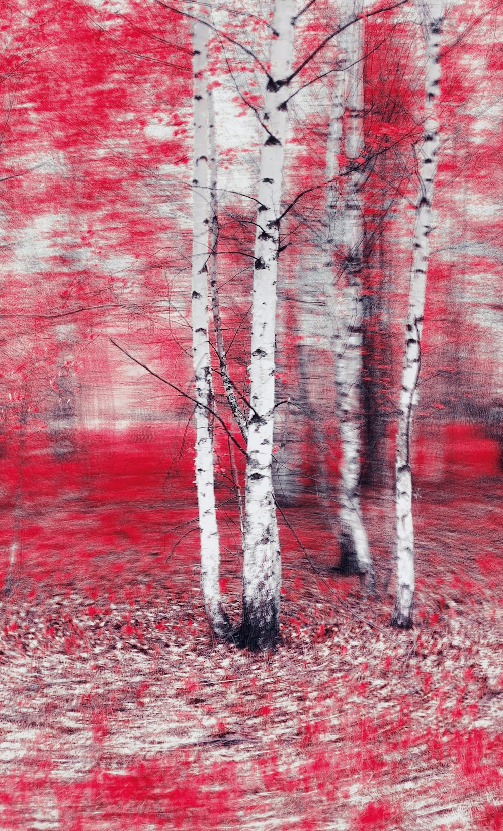 a red and white photo of trees in the woods