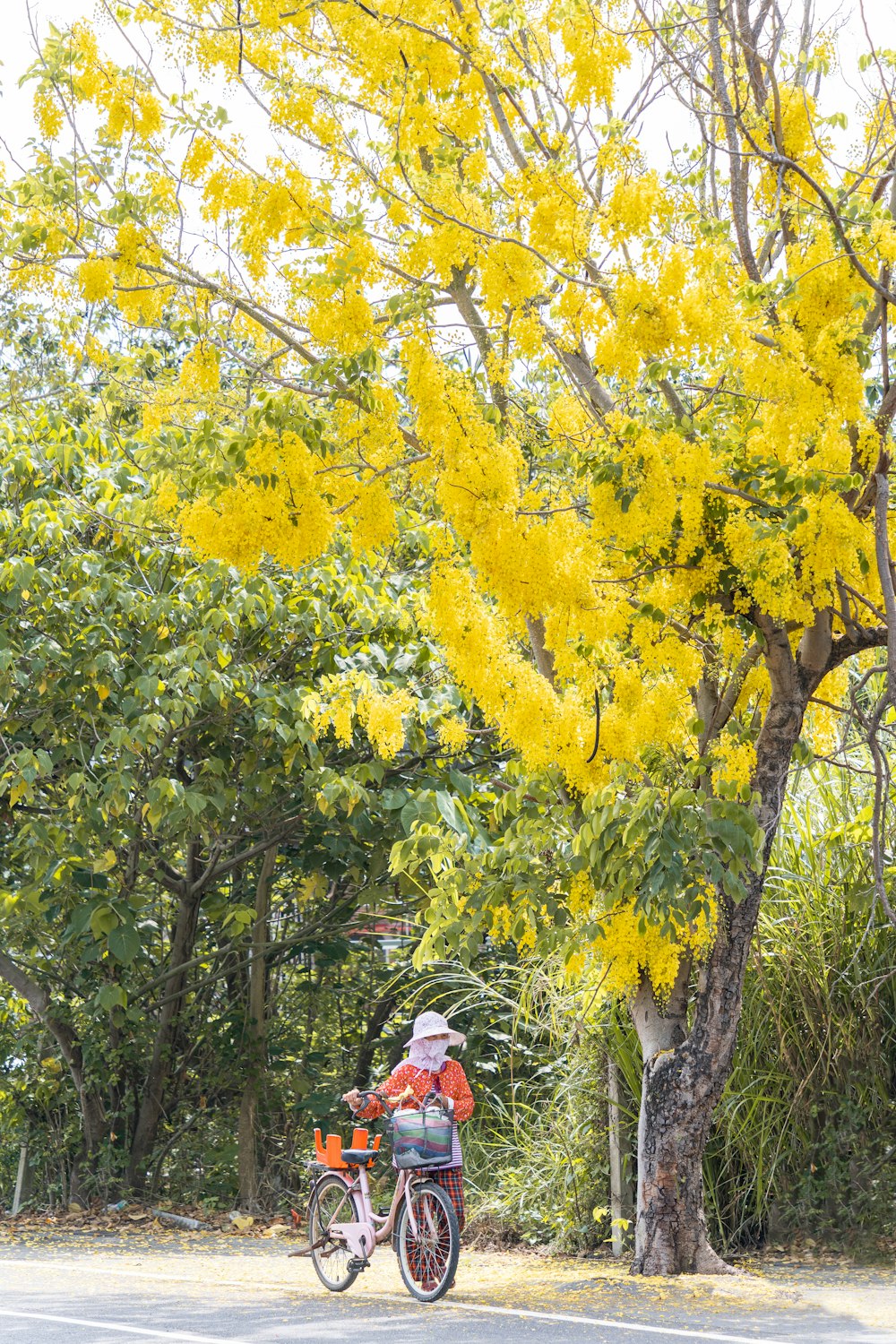 a person riding a bike down a street next to a tree