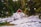 A small, red A-frame cabin is nestled among tall evergreen trees, surrounded by a blanket of snow. The cabin has large windows and stands out against the natural, serene landscape. A stream runs in the foreground, partially covered by snow.