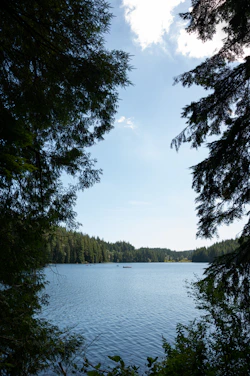 a large body of water surrounded by trees