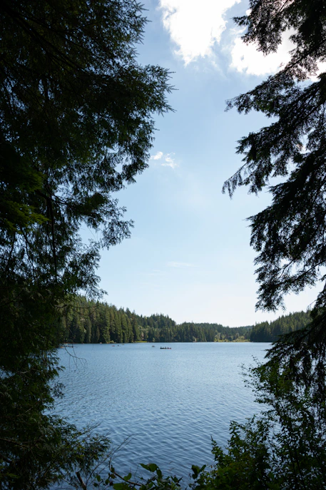 a large body of water surrounded by trees
