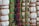 A close-up view of intricately woven fabric patterns featuring a combination of threads in green, beige, and black colors. Thick brown ropes are used to bind sections of the textured fabric, creating an organized yet varied pattern with a distinct tactile quality.