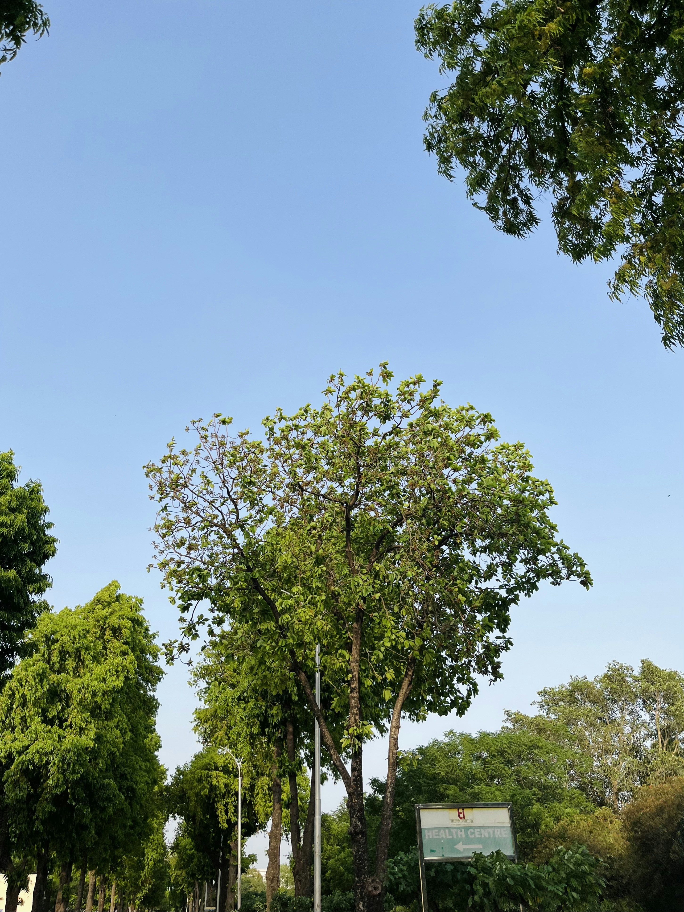 Suplementos Naturales Premium