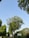 Tall green trees with lush foliage line a pathway under a clear blue sky. A sign indicating a health center is visible on the right side, partially obscured by the trees.