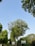 Tall green trees with lush foliage line a pathway under a clear blue sky. A sign indicating a health center is visible on the right side, partially obscured by the trees.
