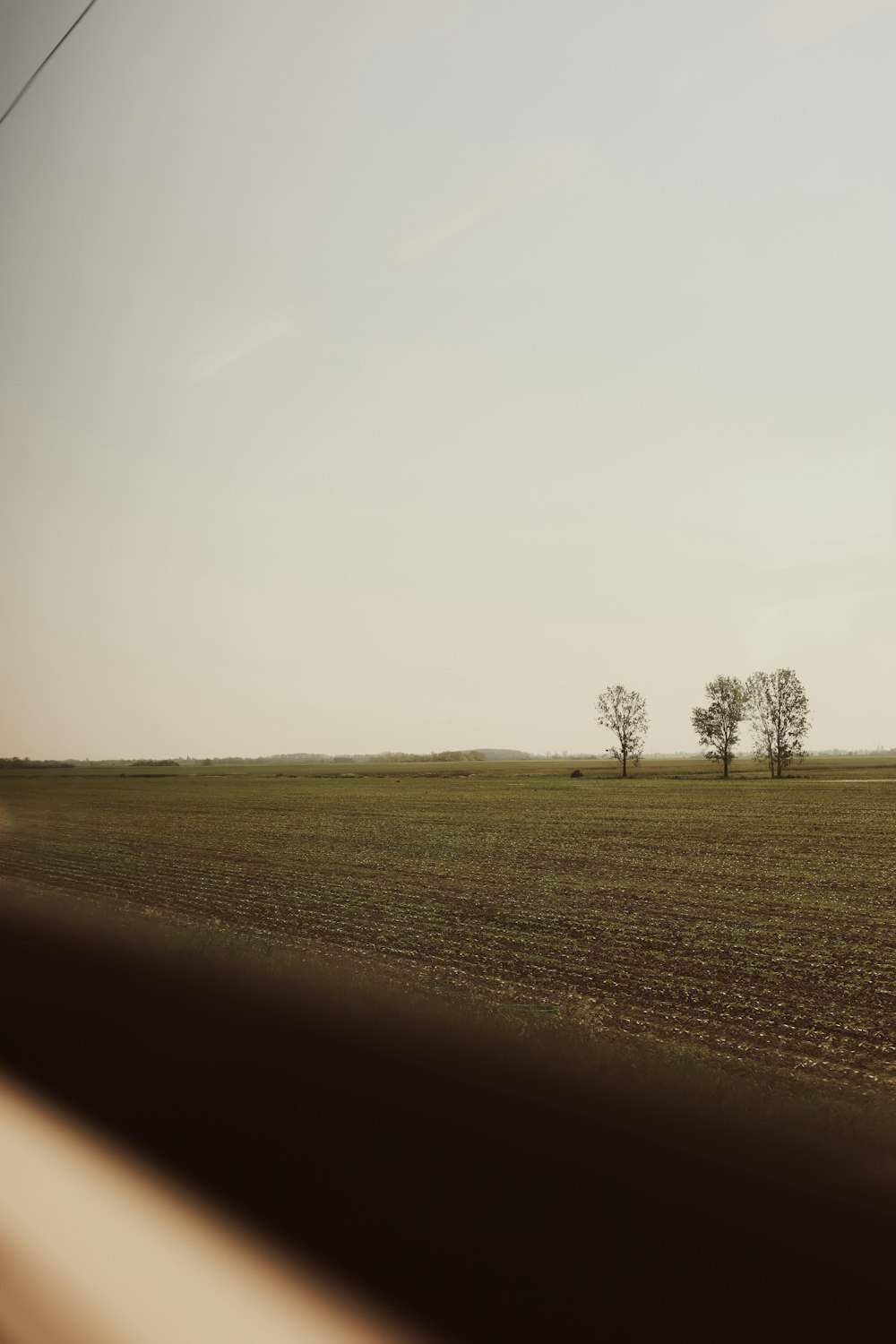 a field with two trees in the distance