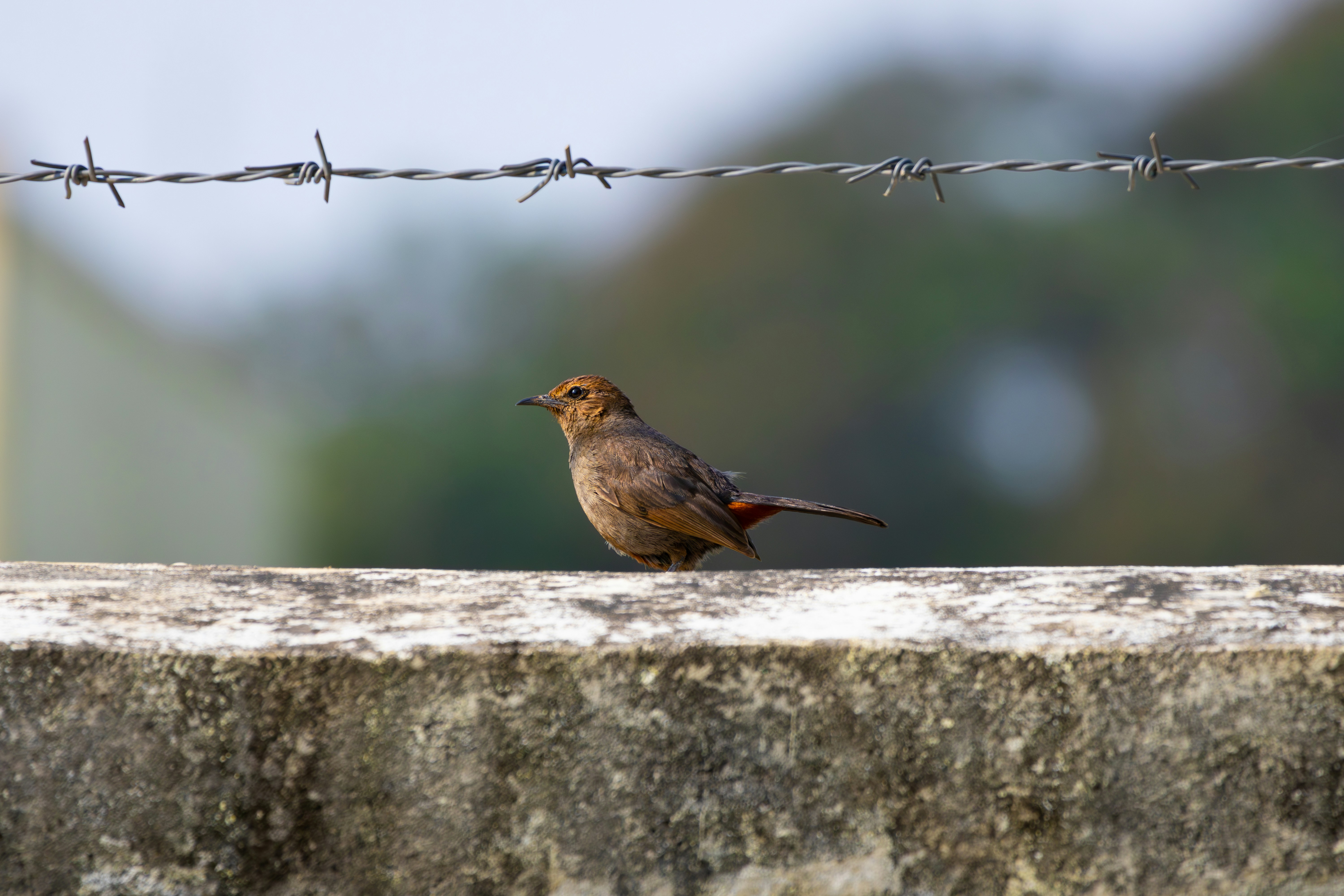Photo by sameer_srivastava