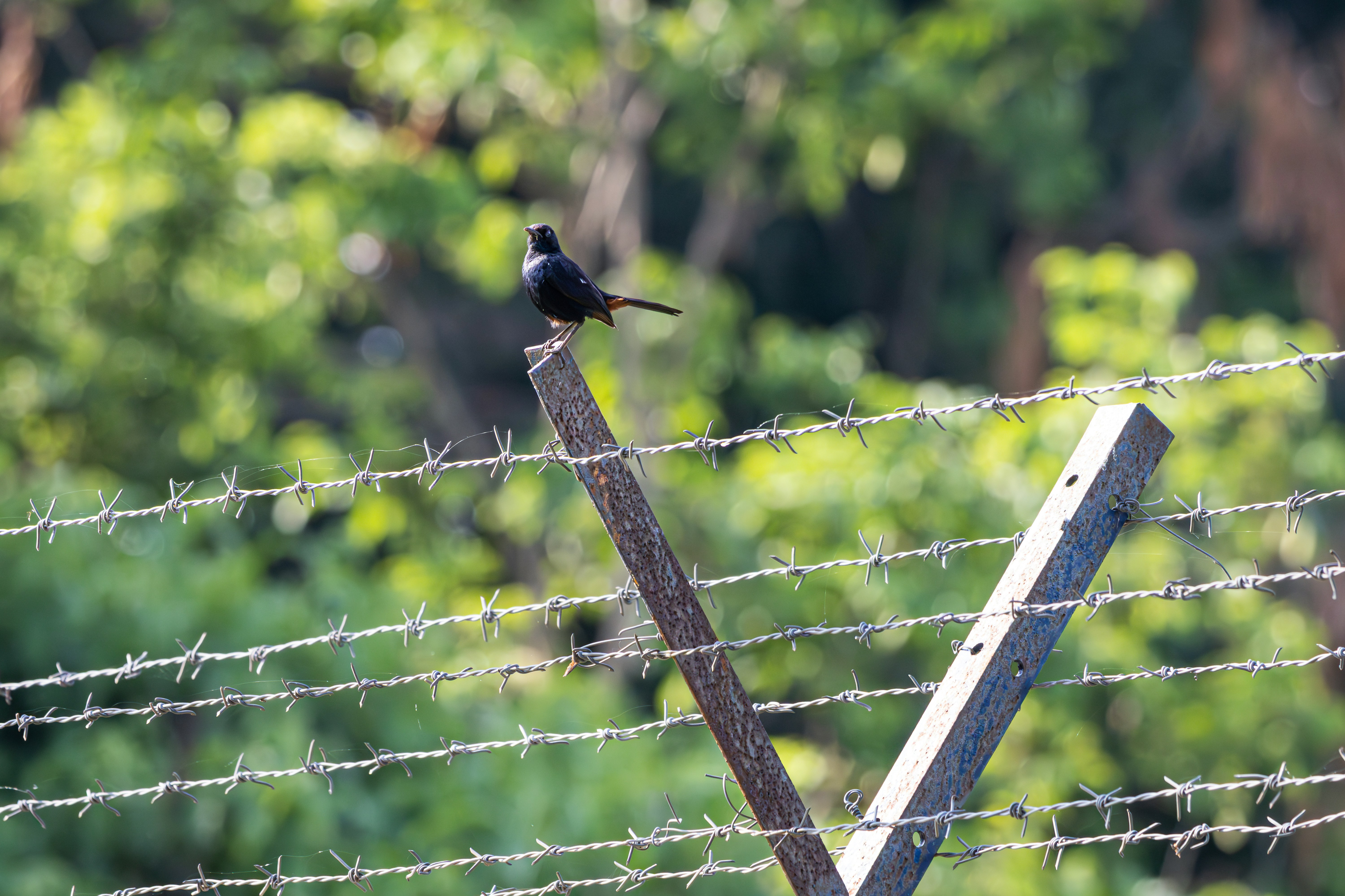 Photo by sameer_srivastava