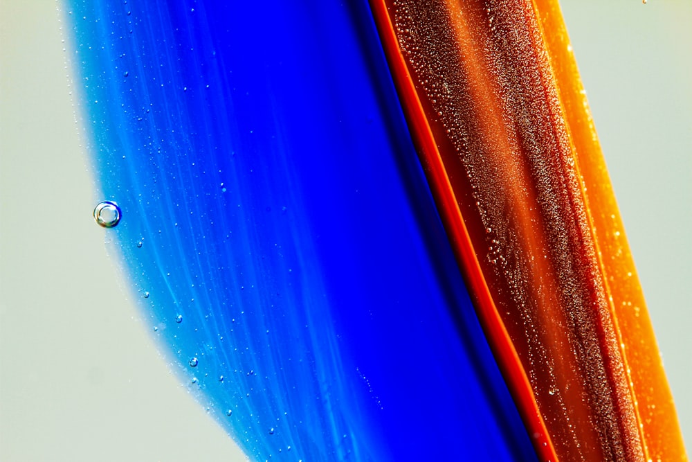 a close up of a blue and orange object