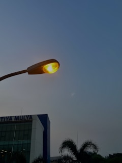 A street lamp with a glowing light bulb is visible against a clear sky. Below, a modern building with reflective windows is partially visible, along with a palm tree adding greenery to the scene.