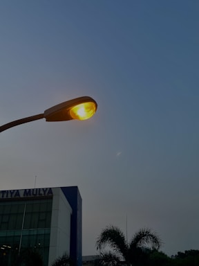 A street lamp with a glowing light bulb is visible against a clear sky. Below, a modern building with reflective windows is partially visible, along with a palm tree adding greenery to the scene.