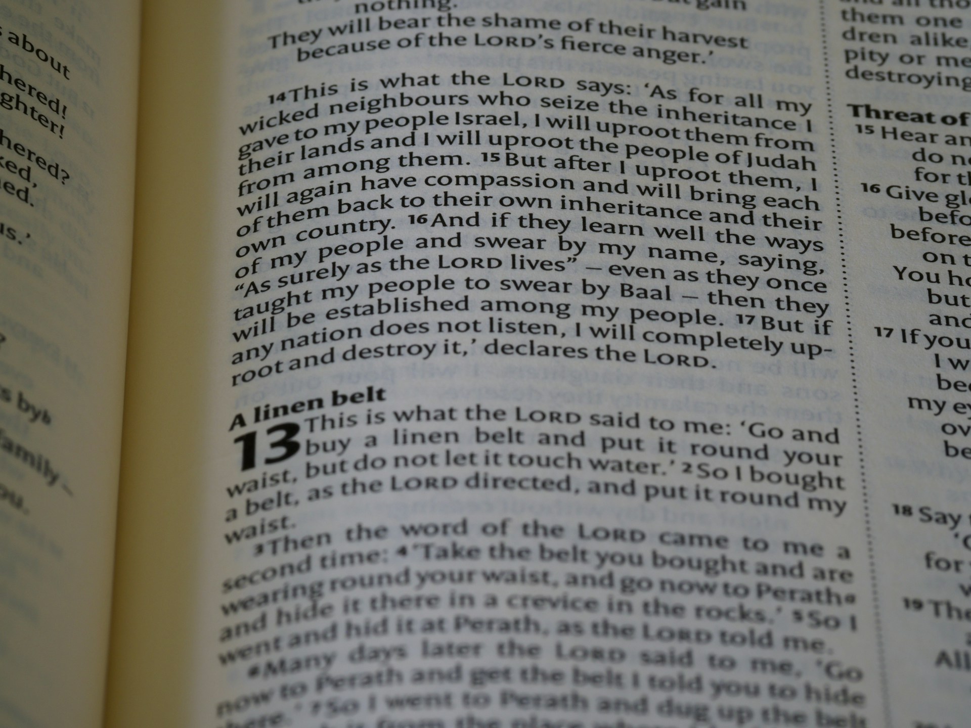 black and white bed linen