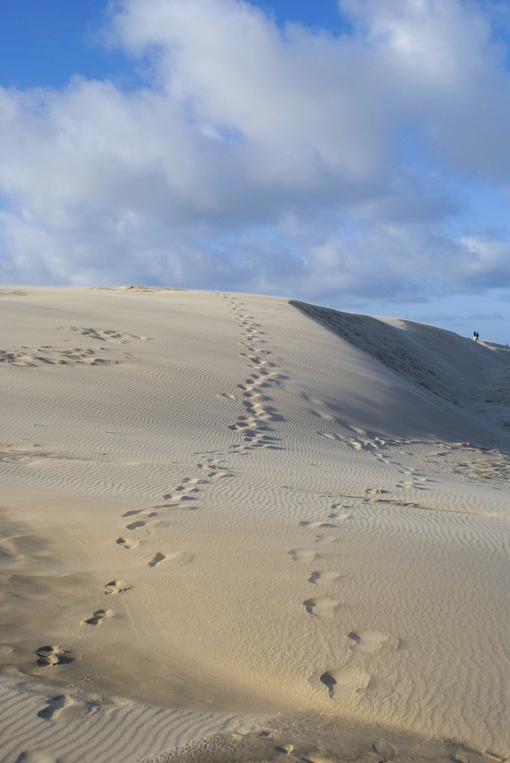 a large sand dune with tracks in the sand