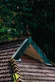 A tiled roof with triangular gables is surrounded by dense foliage. The roof tiles are arranged in neat rows, and there are decorative finials on the peaks of the gables. The vegetation around the roof includes vibrant orange flowers and lush green leaves, creating a contrast with the earthy tones of the tiles.