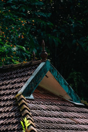 A tiled roof with triangular gables is surrounded by dense foliage. The roof tiles are arranged in neat rows, and there are decorative finials on the peaks of the gables. The vegetation around the roof includes vibrant orange flowers and lush green leaves, creating a contrast with the earthy tones of the tiles.
