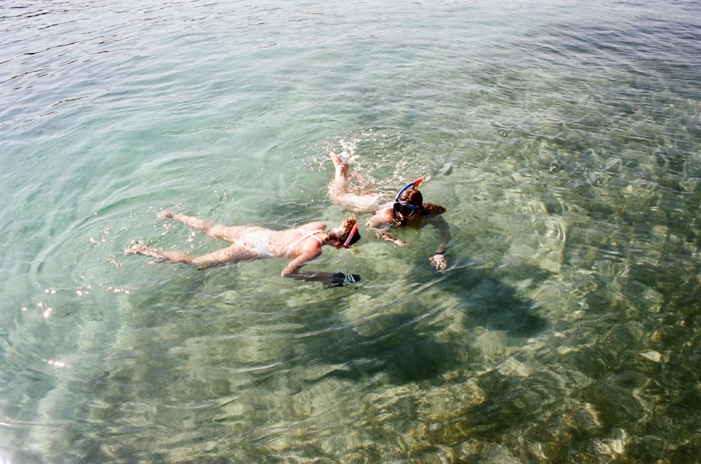 a couple of people swimming in a body of water