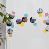A refrigerator door is decorated with circular travel photos and colorful sticky notes. The images depict scenes from various locations, while the notes label each place with handwritten text. A green potted plant partially frames the left side of the image.
