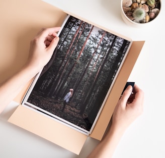 a person holding a photo of a forest